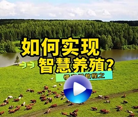 智慧養(yǎng)殖慢直播系統(tǒng)如何搭建？