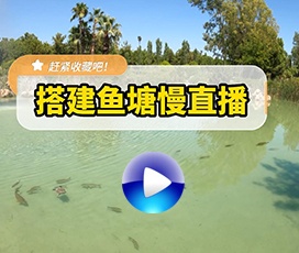 魚塘釣魚實時慢直播解決方案